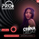 prodeejayremixdjchina