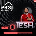 Prodeejayremix Dj Tesh